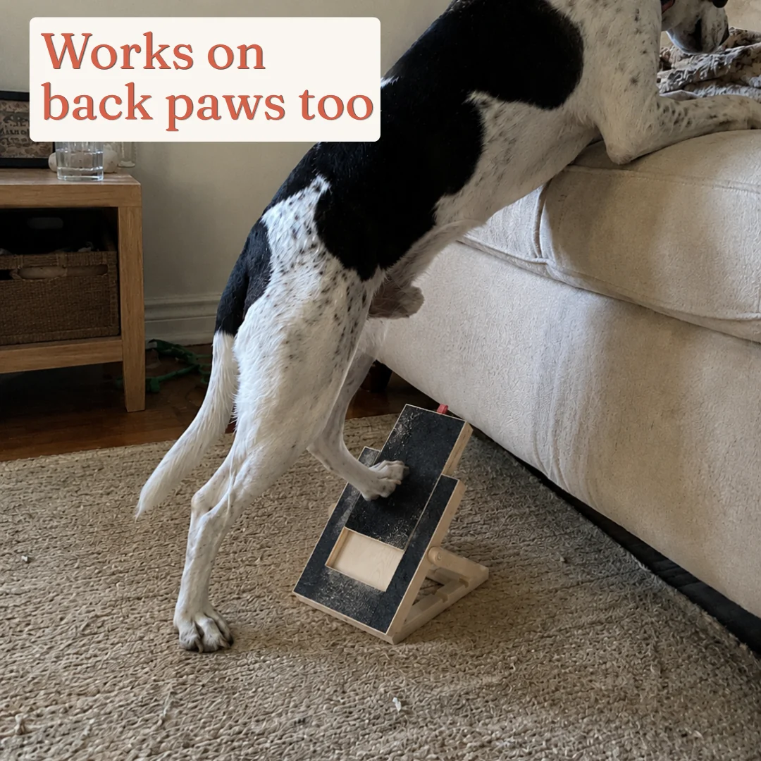 Dog Nail Scratch Board Kit