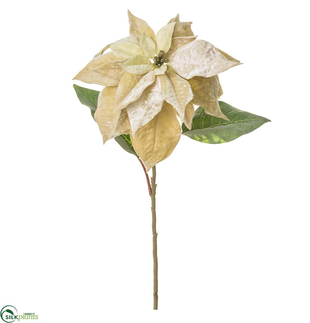 Silk Plants Direct Velvet Poinsettia Spray - Pink - Pack of 12