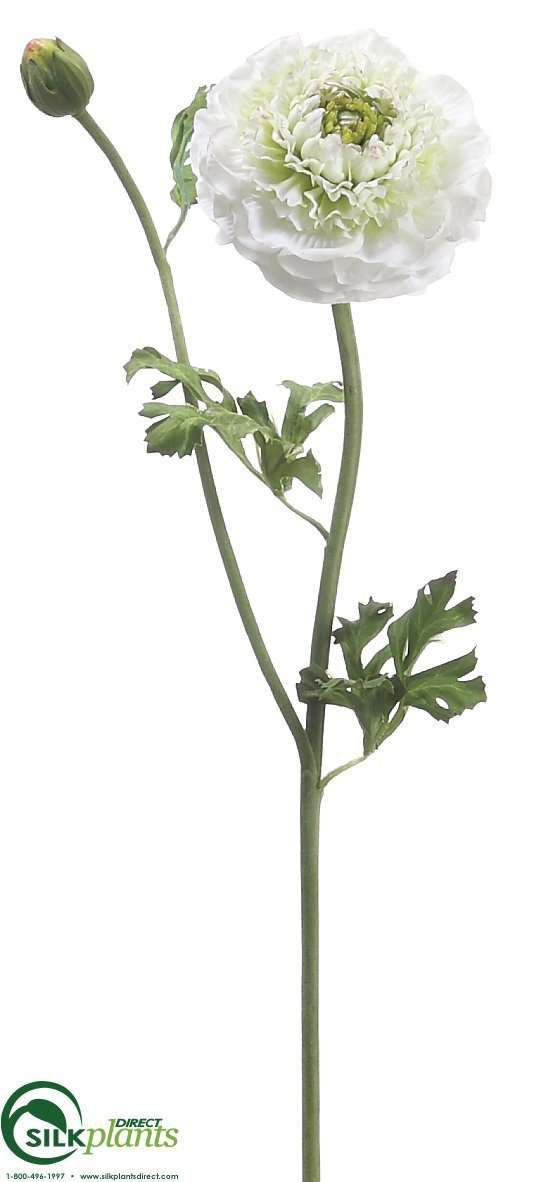 Silk Plants Direct Ranunculus Spray - Burgundy Green - Pack of 12