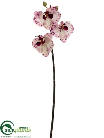 Silk Plants Direct Phalaenopsis Orchid Spray - White Green - Pack of 12