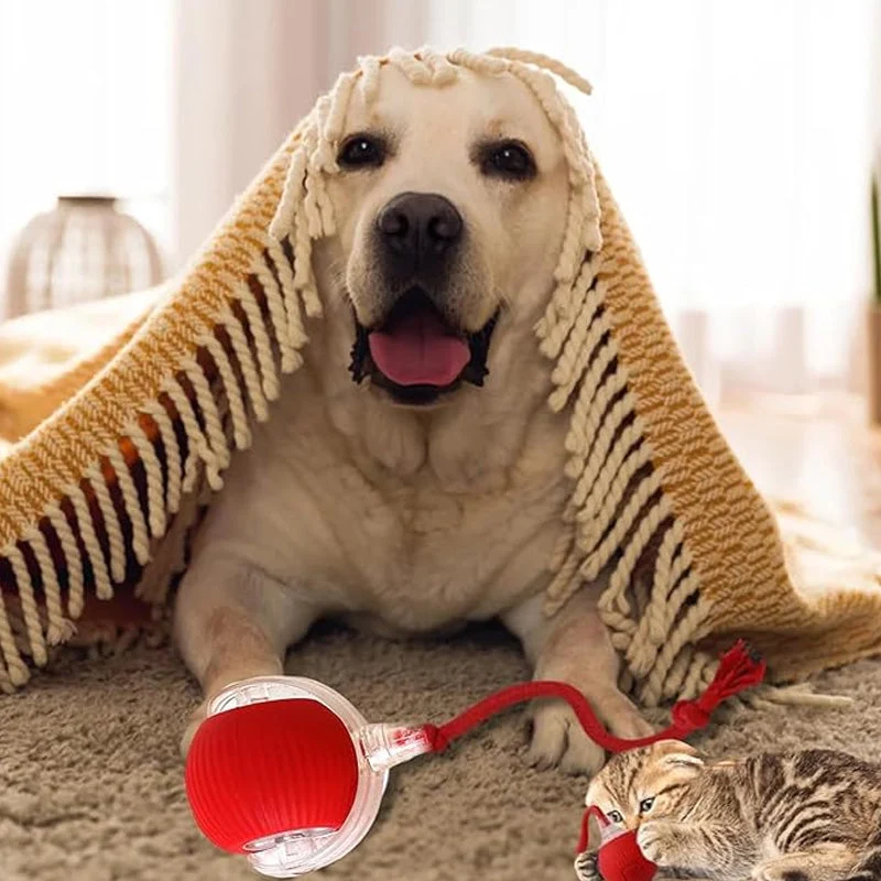 🐱50% Off🐶Smart Automatic Rolling Pet Ball