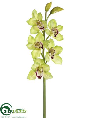 Silk Plants Direct Cymbidium Orchid Spray - Cream Burgundy - Pack of 6
