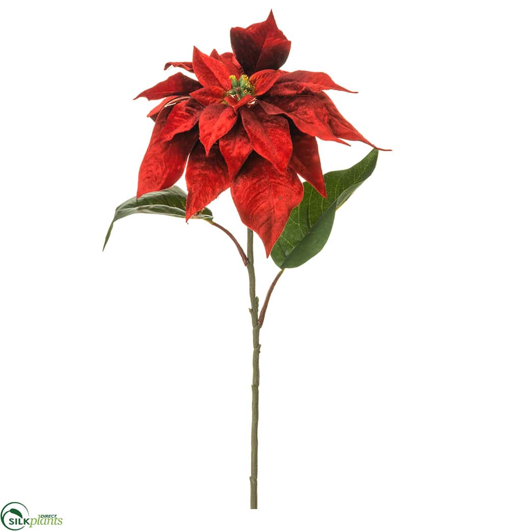 Silk Plants Direct Velvet Poinsettia Spray - Pink - Pack of 12