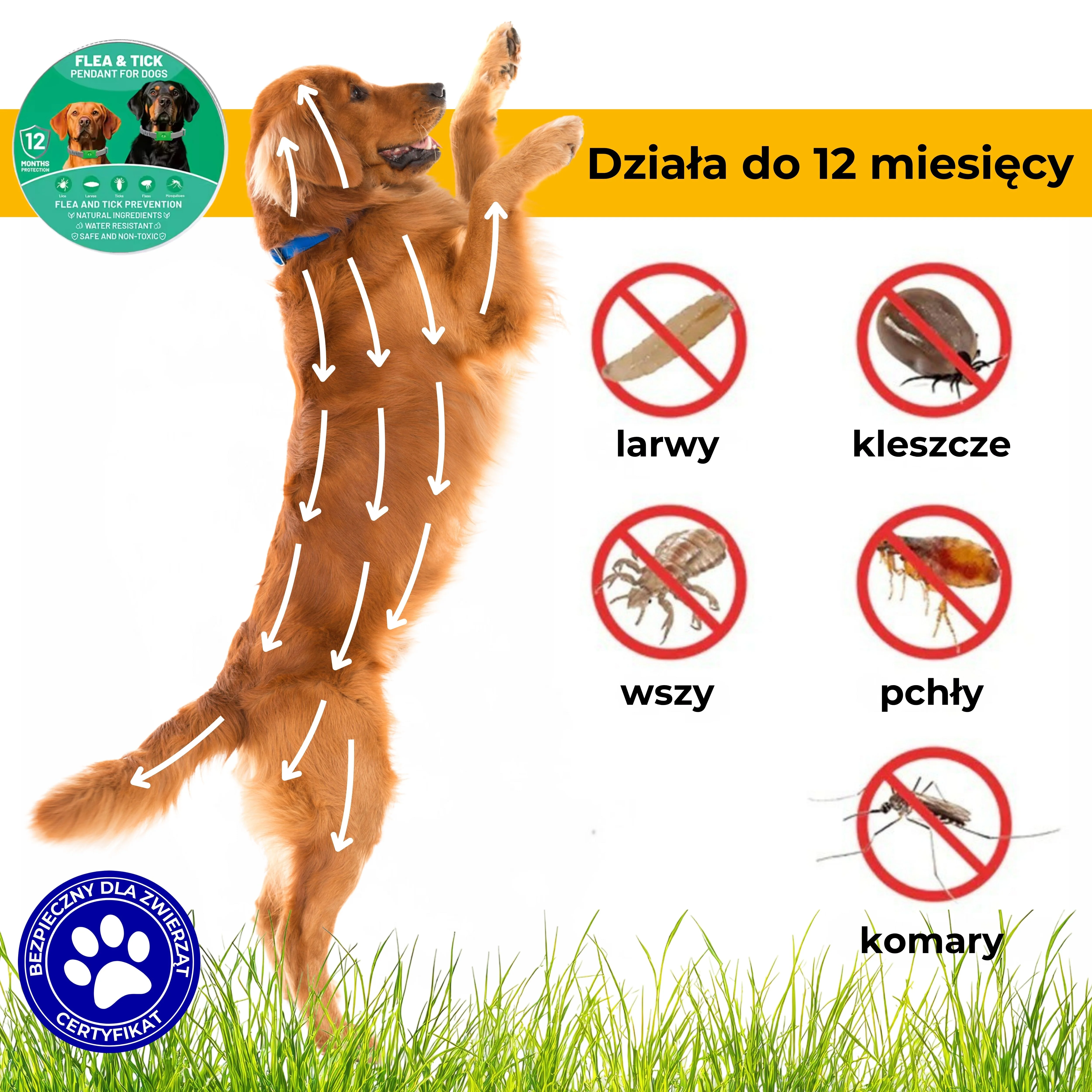 obroża na pchły i kleszcze dla psów