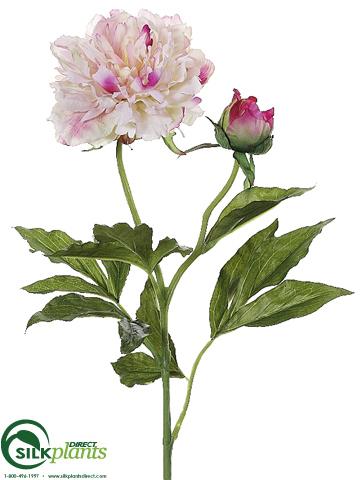 Silk Plants Direct Peony Spray - Salmon Peach - Pack of 12