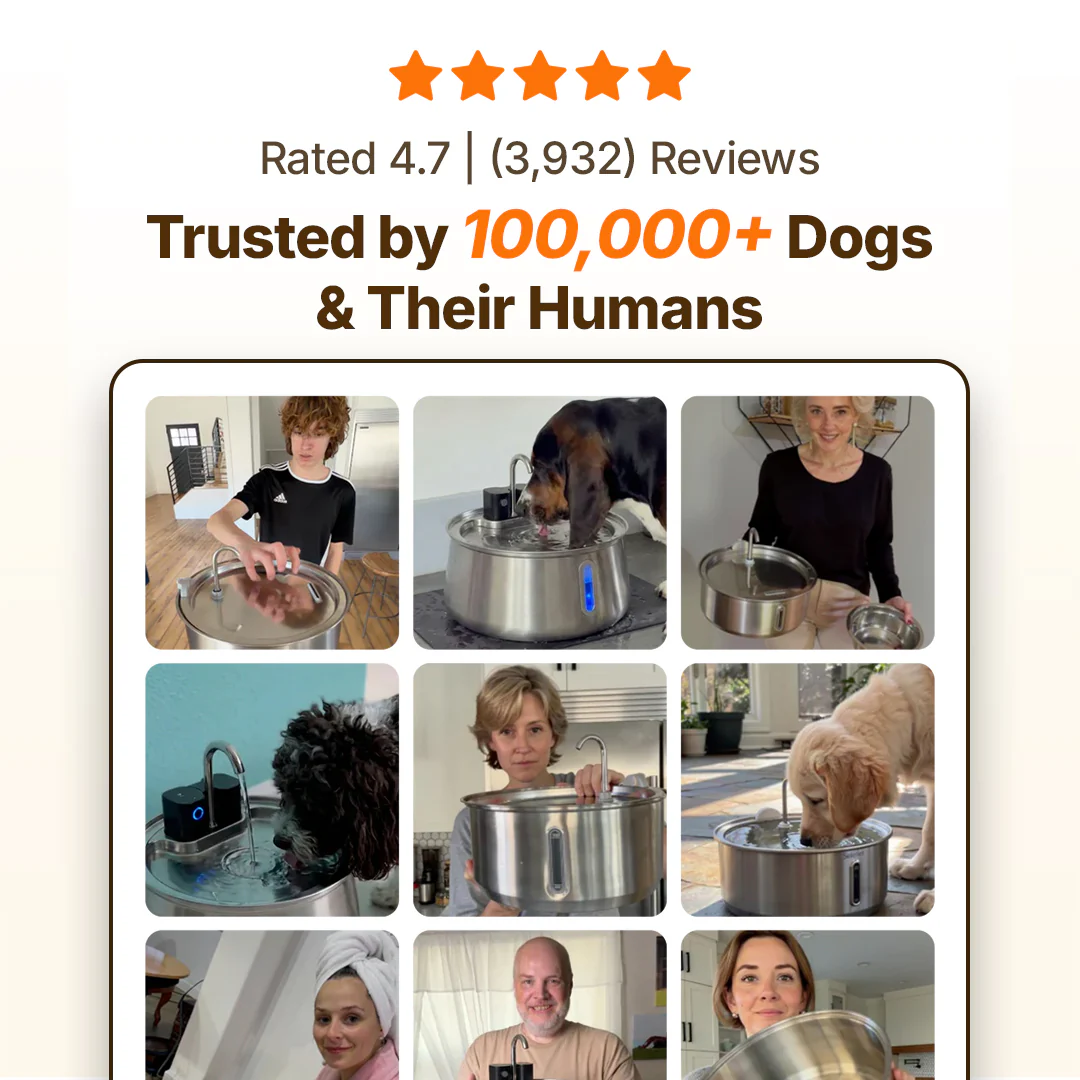 The Doggy Fountain™