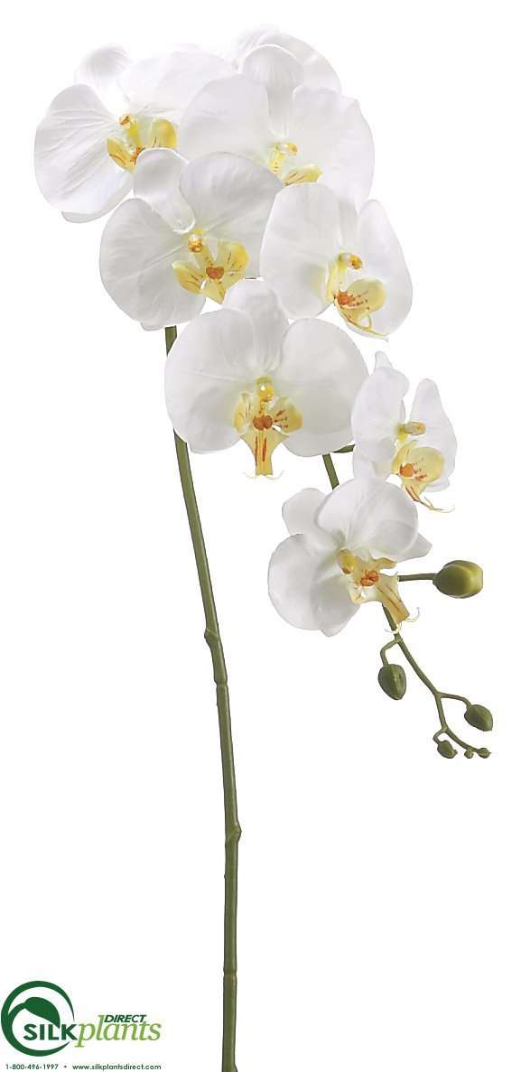 Silk Plants Direct Phalaenopsis Orchid Spray - Orchid Violet - Pack of 12