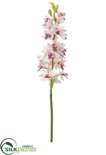 Silk Plants Direct Cymbidium Orchid Spray - Cream Burgundy - Pack of 12