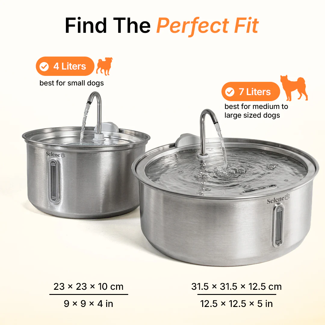 The Doggy Fountain™