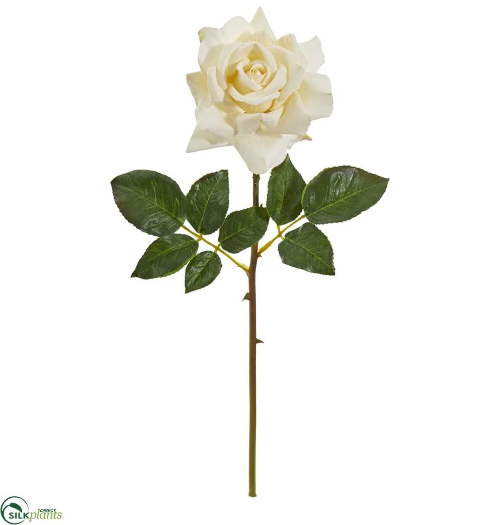 Silk Plants Direct Rose Artificial Flower - Black Red - Pack of 6