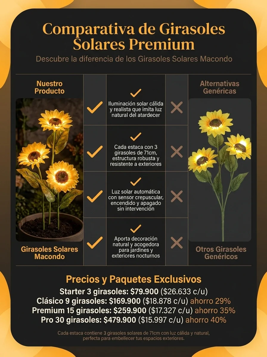 Girasoles Solares Macondo