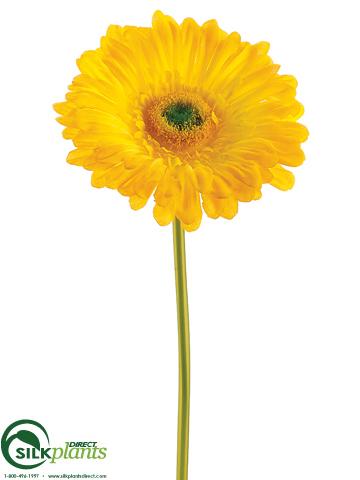 Silk Plants Direct Large Gerbera Daisy Spray - Green Soft - Pack of 24