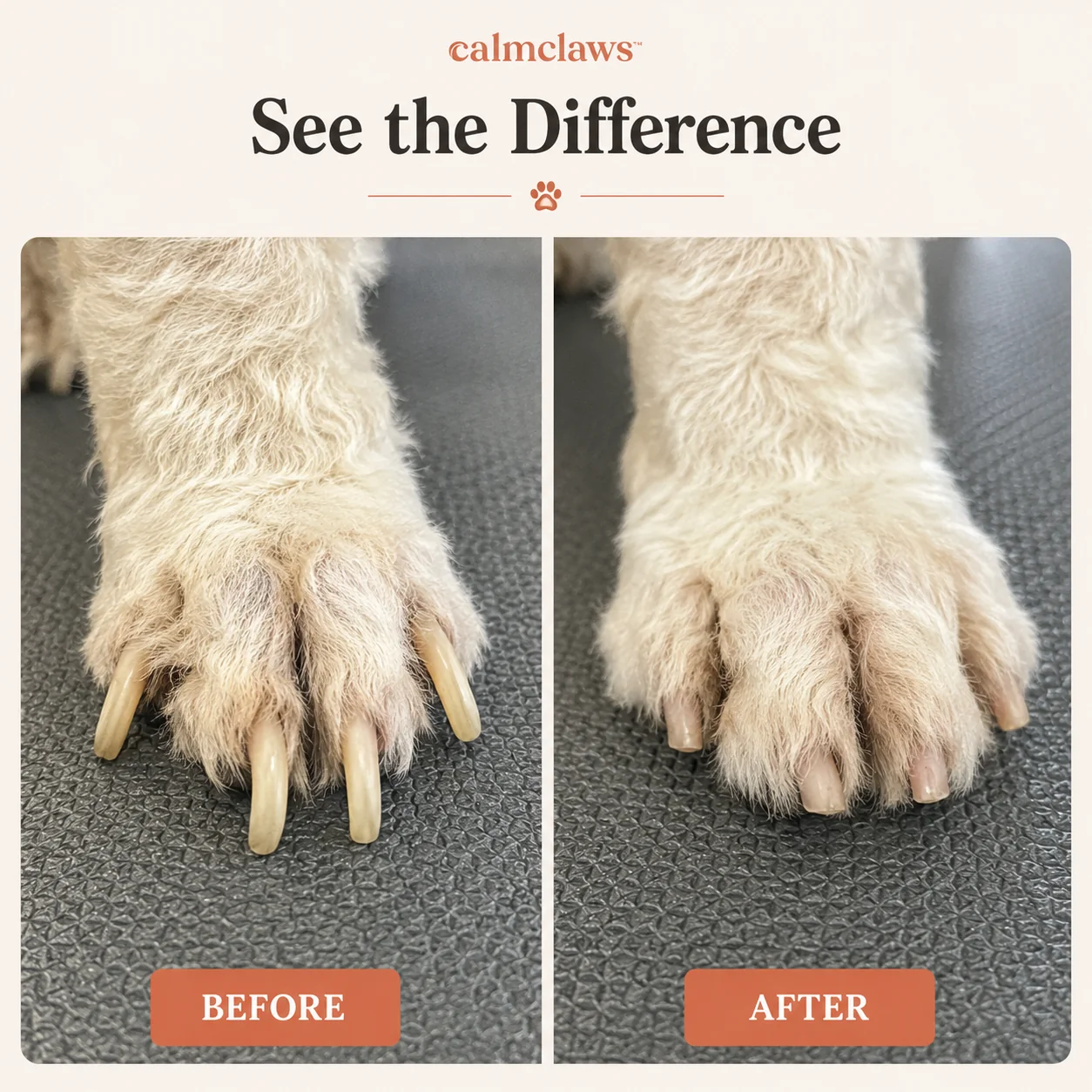 Dog Nail Scratch Board Kit