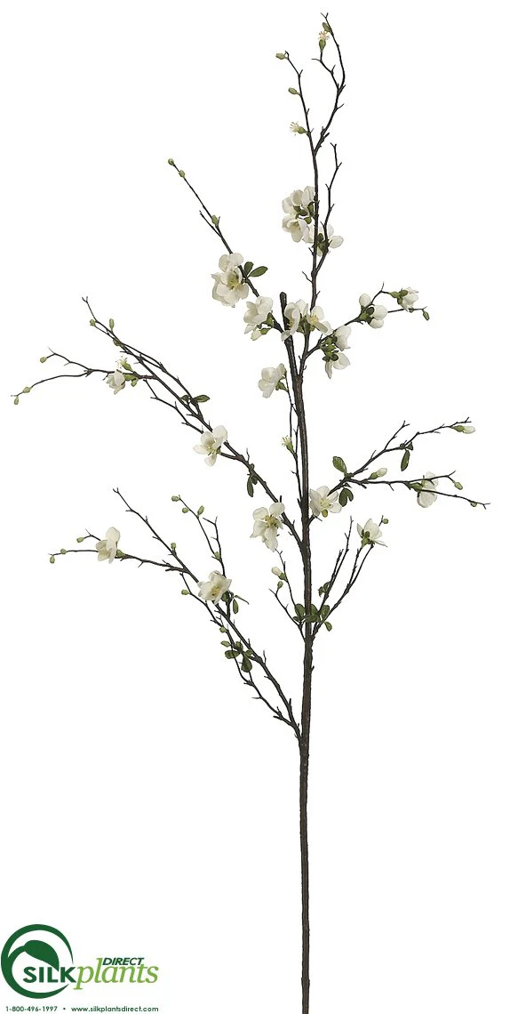 Silk Plants Direct Quince Blossom Branch - Coral - Pack of 12