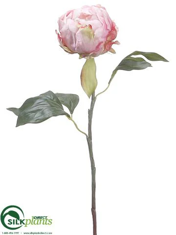 Silk Plants Direct Peony Bud Spray - Fuchsia - Pack of 12