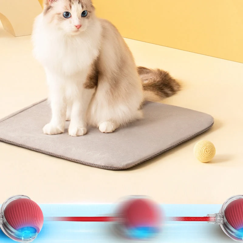 🐱50% Off🐶Smart Automatic Rolling Pet Ball