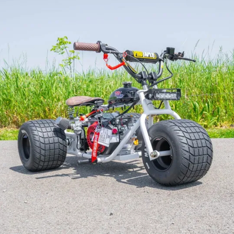 Mini Trike Platinum Edition - Ride in Style for Less!