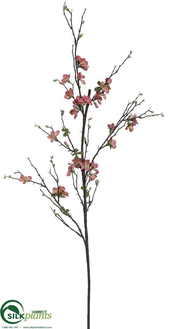 Silk Plants Direct Quince Blossom Branch - Cream - Pack of 12