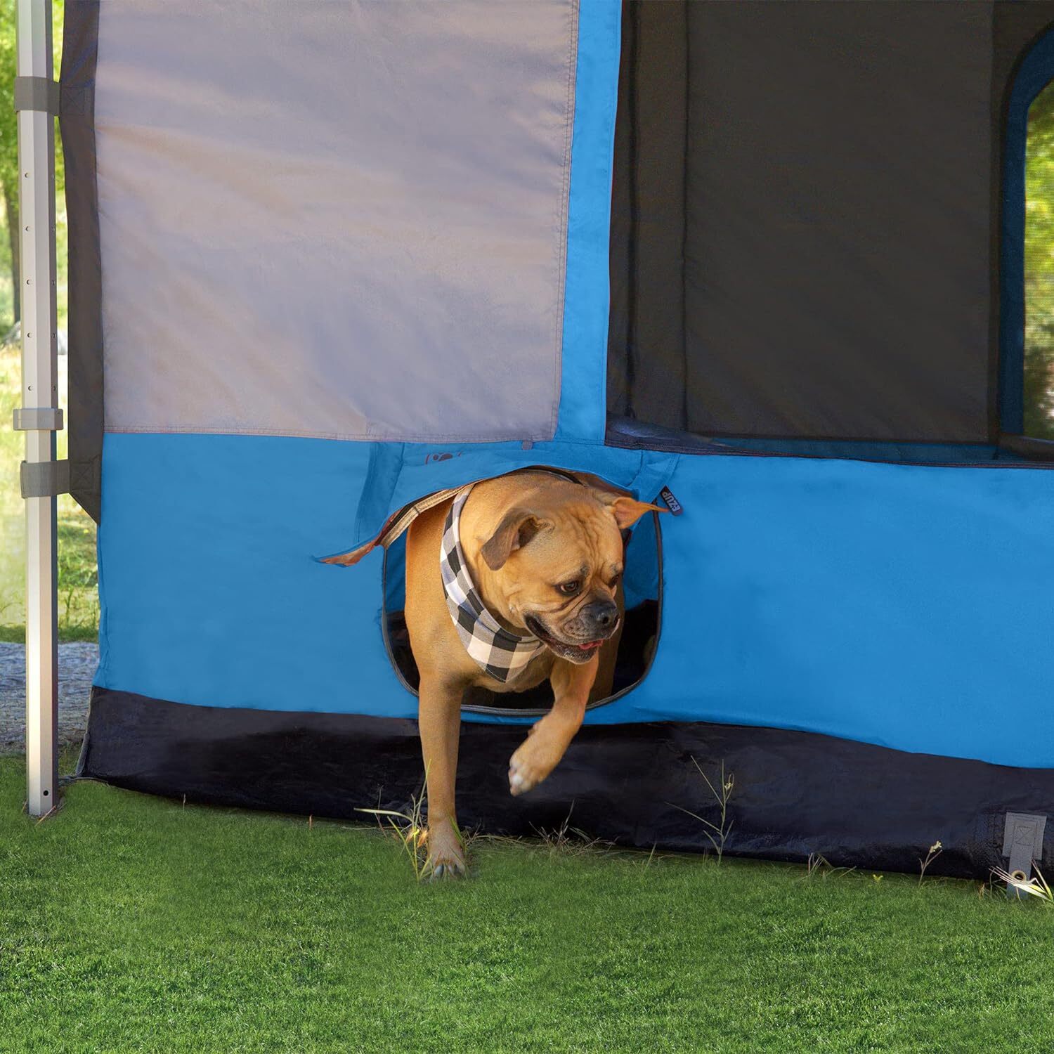 Camping Cube 6.4, Converts 10' Straight Leg Canopy into Camping Tent, Punch