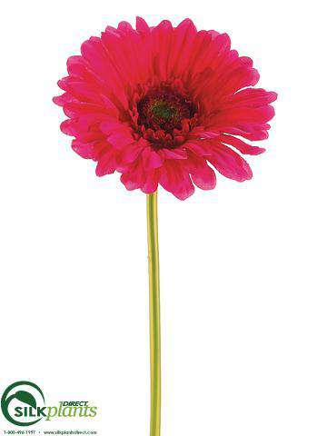 Silk Plants Direct Large Gerbera Daisy Spray - Green Soft - Pack of 24