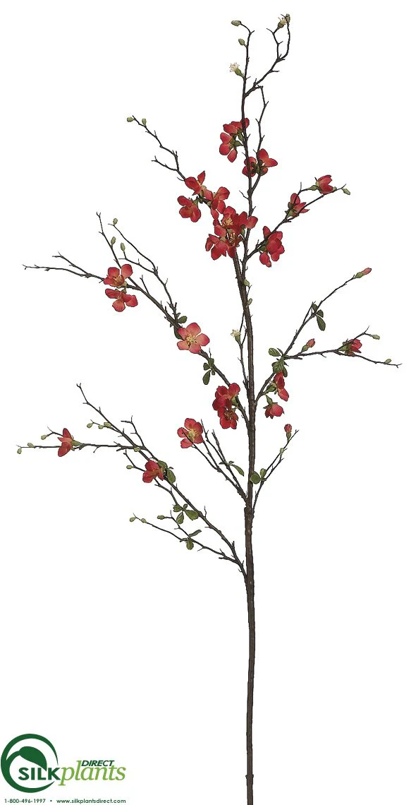 Silk Plants Direct Quince Blossom Branch - Cream - Pack of 12