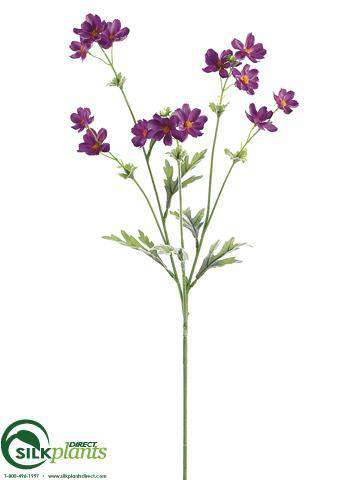 Silk Plants Direct Cosmos Spray - Cream - Pack of 12