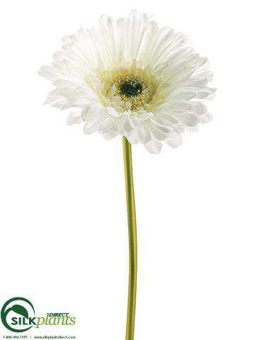 Silk Plants Direct Large Gerbera Daisy Spray - Green Soft - Pack of 24