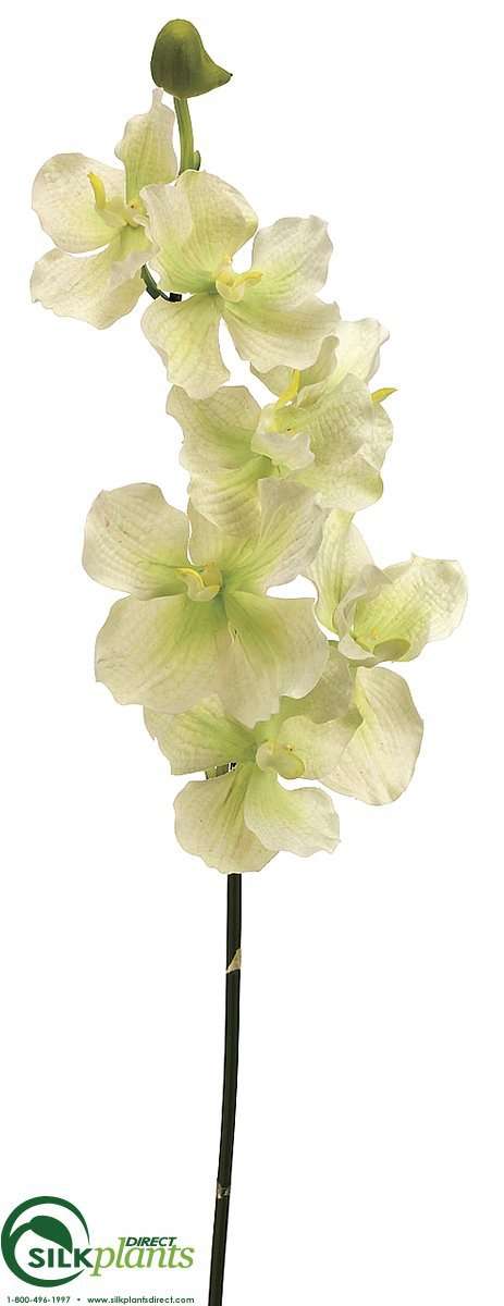 Silk Plants Direct Vanda Orchid Spray - Purple - Pack of 6