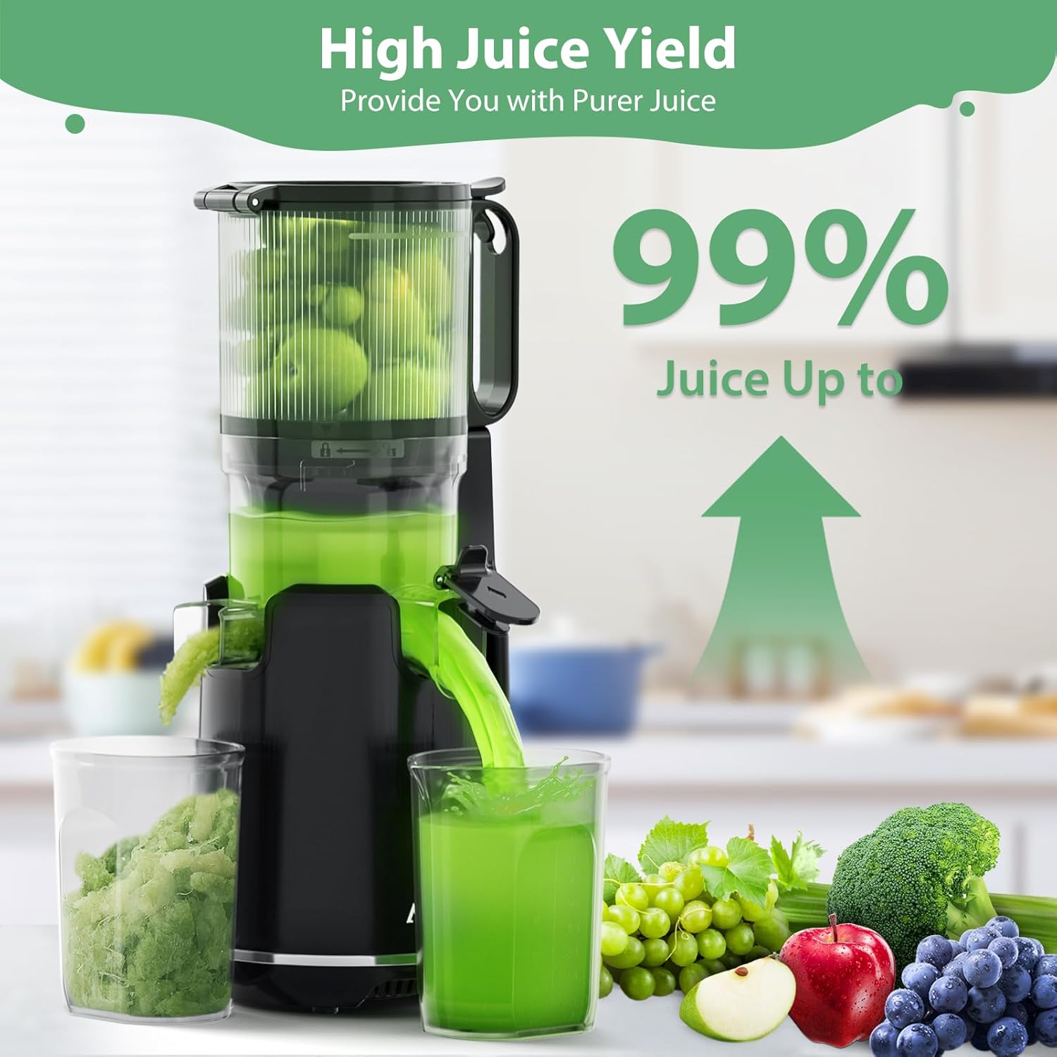 Cold Press Juicer with 5.3