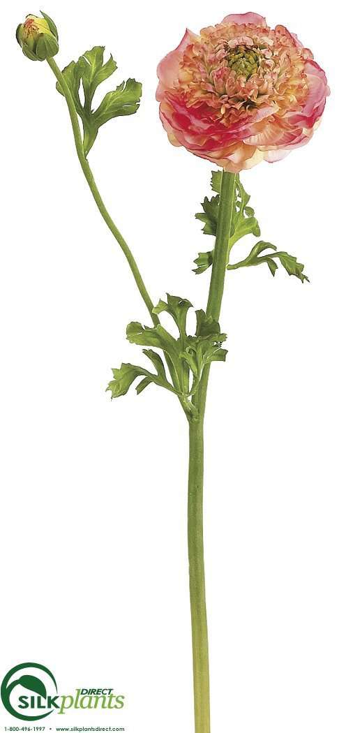 Silk Plants Direct Ranunculus Spray - Burgundy Green - Pack of 12