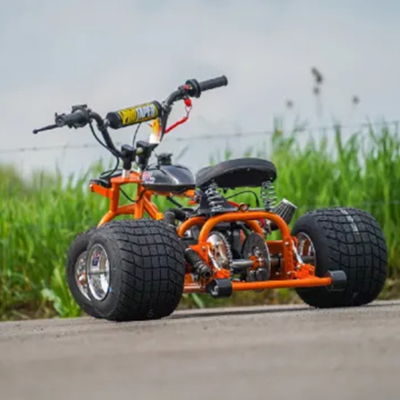 Mini Trike Platinum Edition - Ride in Style for Less!