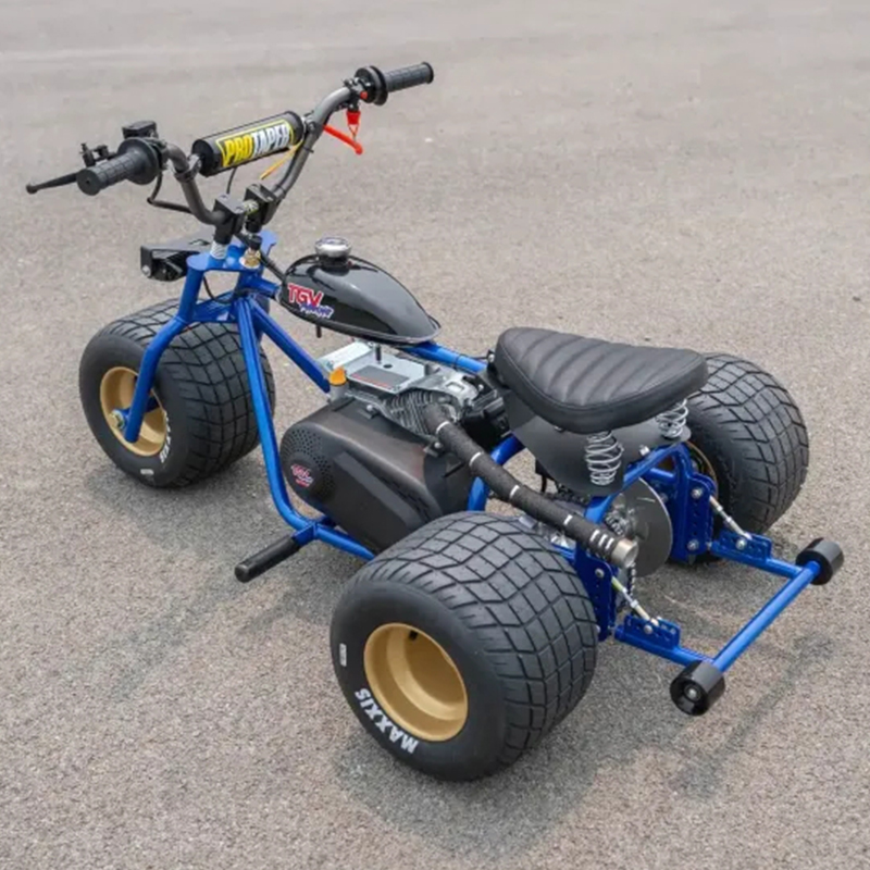 Mini Trike Platinum Edition - Ride in Style for Less!