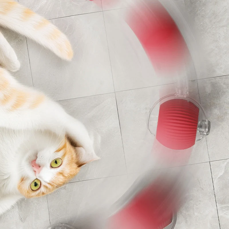 🐱50% Off🐶Smart Automatic Rolling Pet Ball