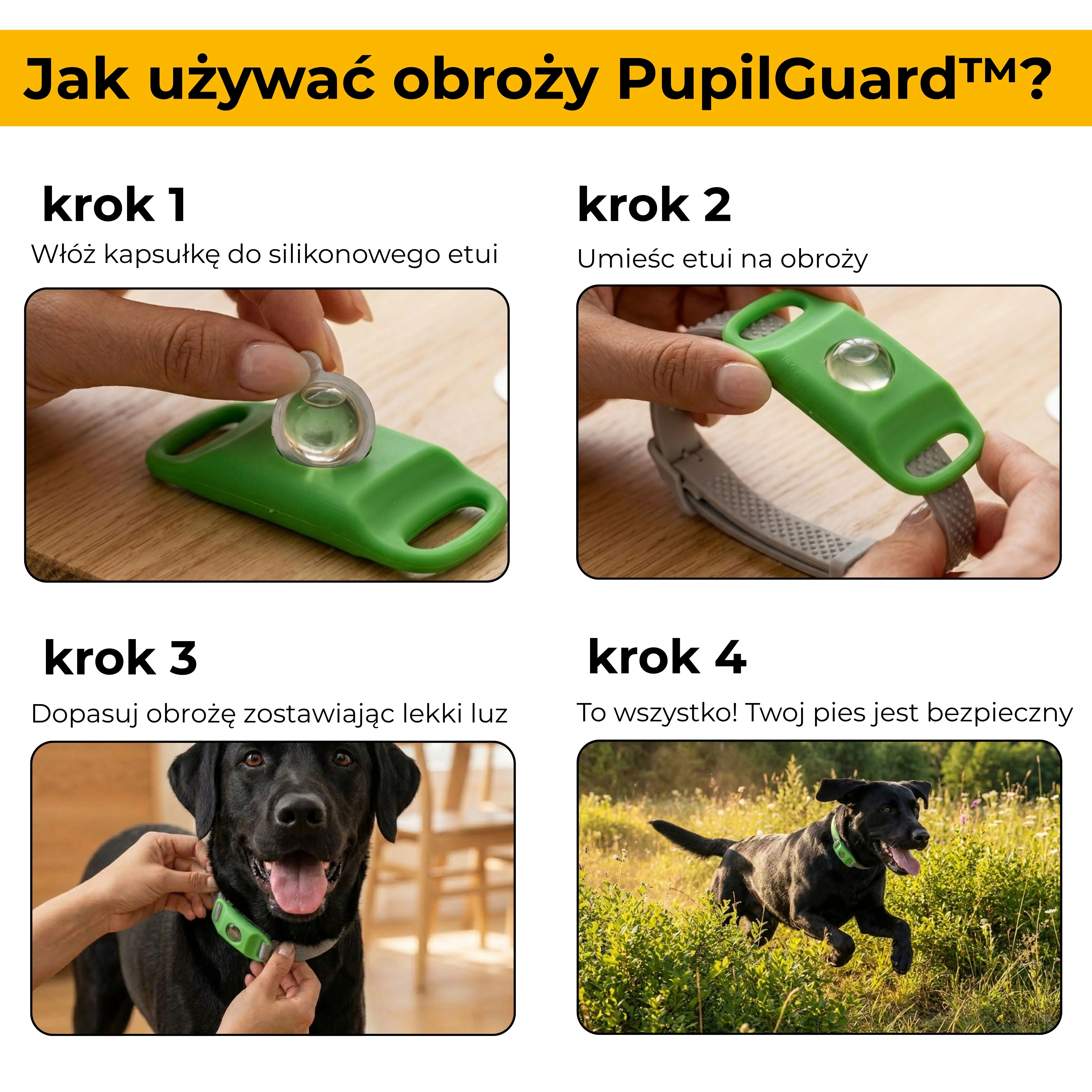 obroża na pchły i kleszcze dla psów