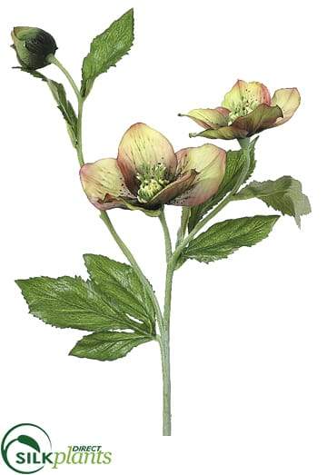 Silk Plants Direct Helleborus Spray - Orchid - Pack of 12