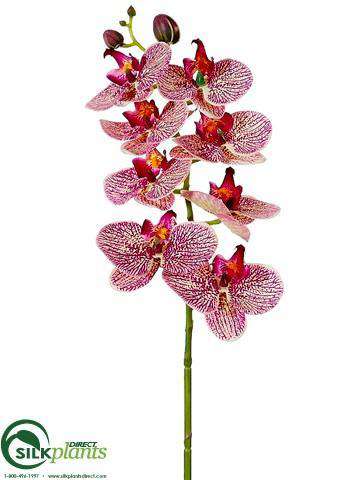 Silk Plants Direct Phalaenopsis Orchid Spray - White - Pack of 12