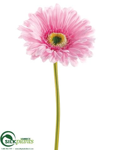 Silk Plants Direct Large Gerbera Daisy Spray - Green Soft - Pack of 24
