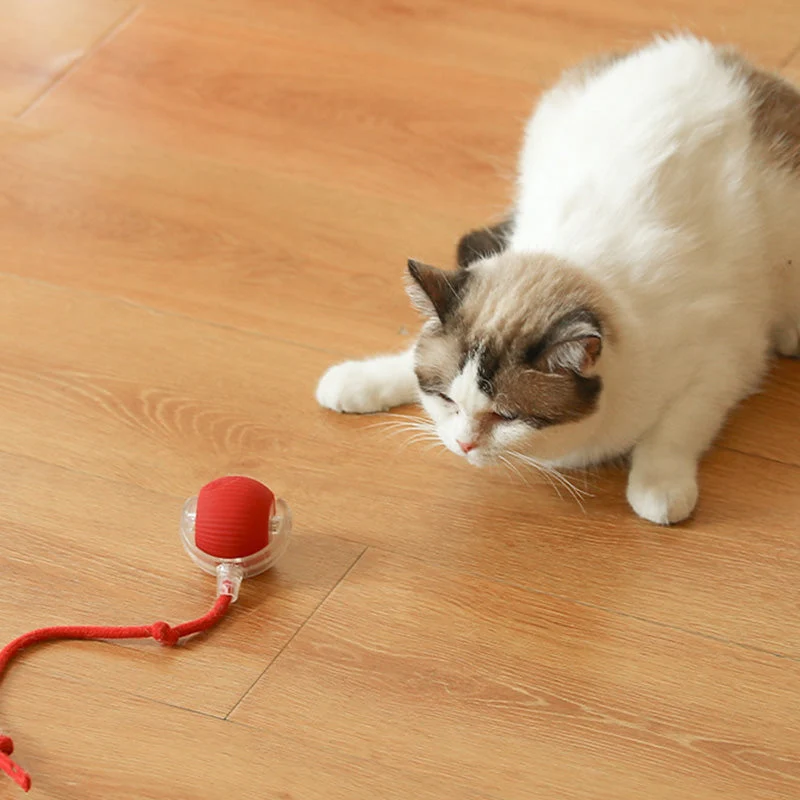 🐱50% Off🐶Smart Automatic Rolling Pet Ball
