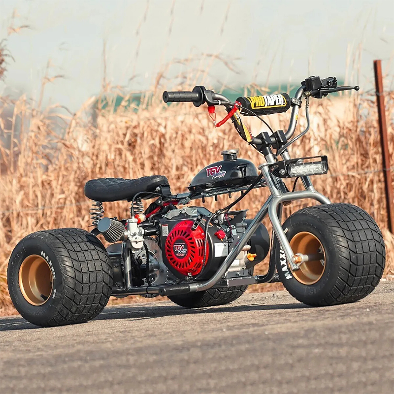 Mini Trike Platinum Edition - Ride in Style for Less!