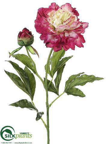 Silk Plants Direct Peony Spray - Salmon Peach - Pack of 12