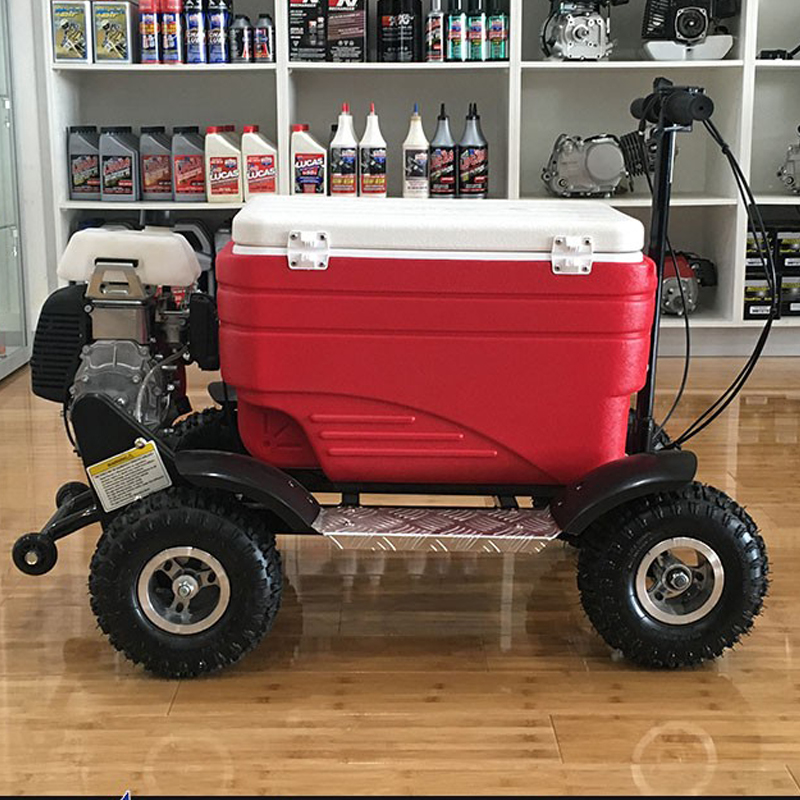 Motorized Cooler