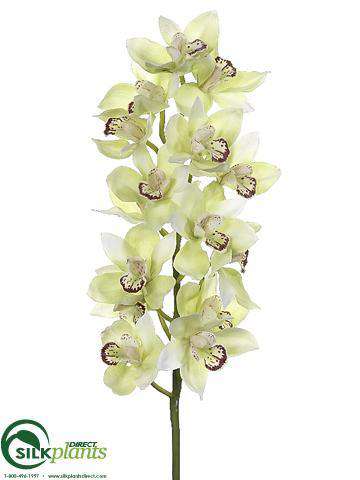 Silk Plants Direct Cymbidium Orchid Spray - Cream Burgundy - Pack of 4