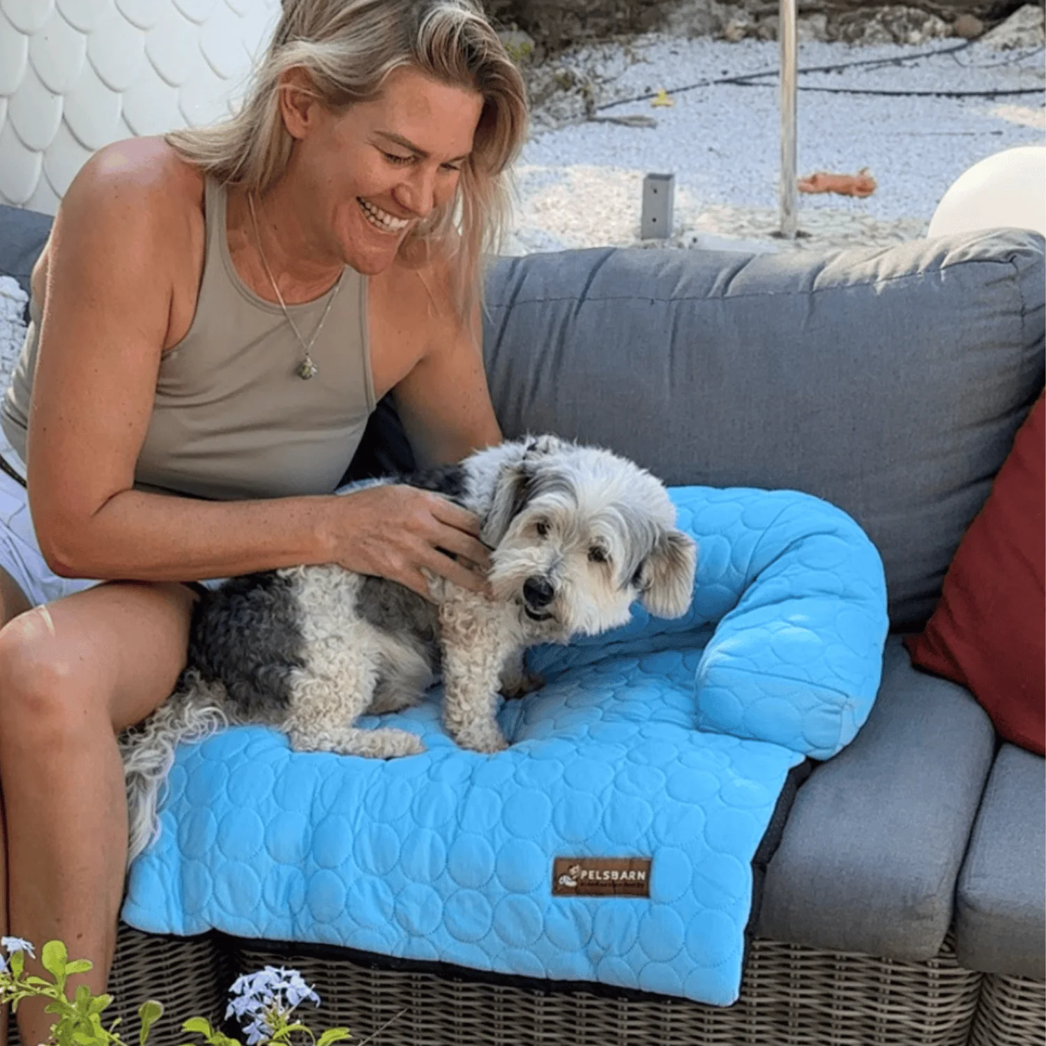 Pelsbarn kühlendes Sofabett (4-mal effektiver)