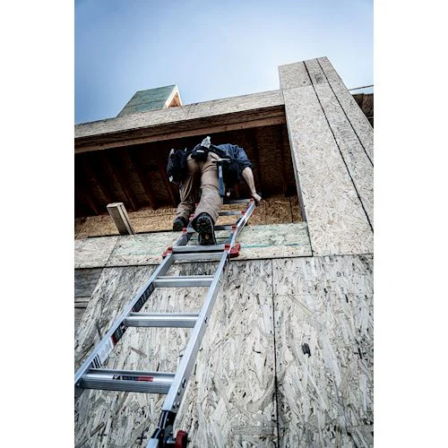 Ladderking