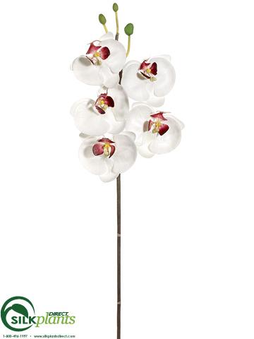 Silk Plants Direct Large Phalaenopsis Orchid Spray - Cream White - Pack of 6