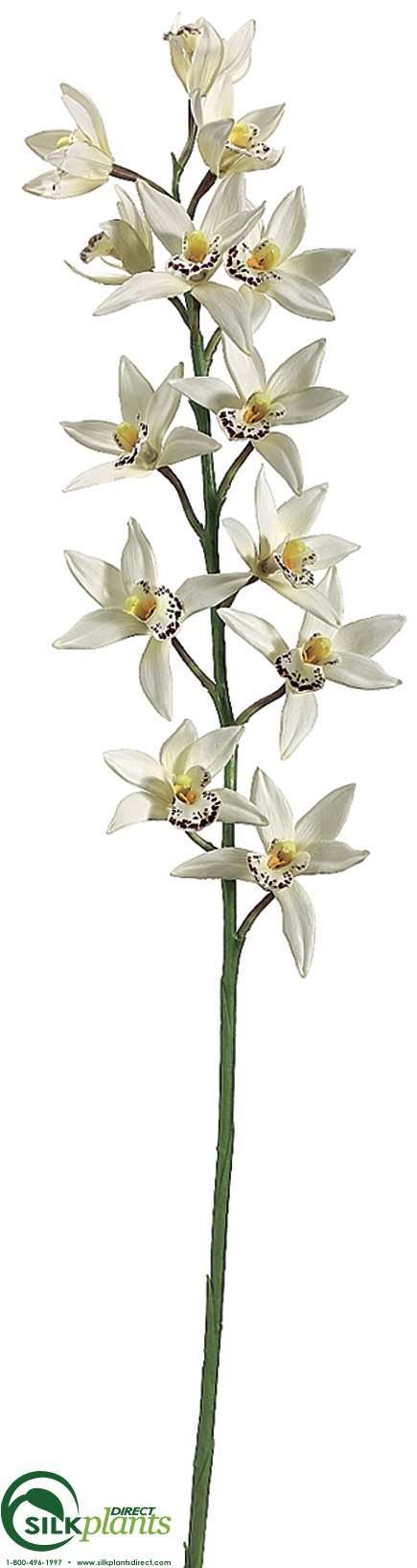 Silk Plants Direct Cymbidium Orchid Spray - Watermelon - Pack of 12