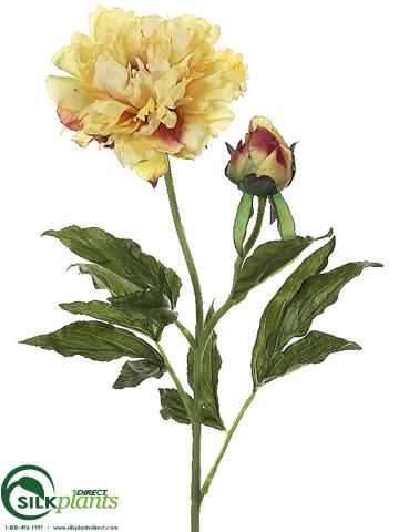 Silk Plants Direct Peony Spray - Salmon Peach - Pack of 12