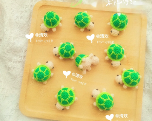 Come home safely (turtle)