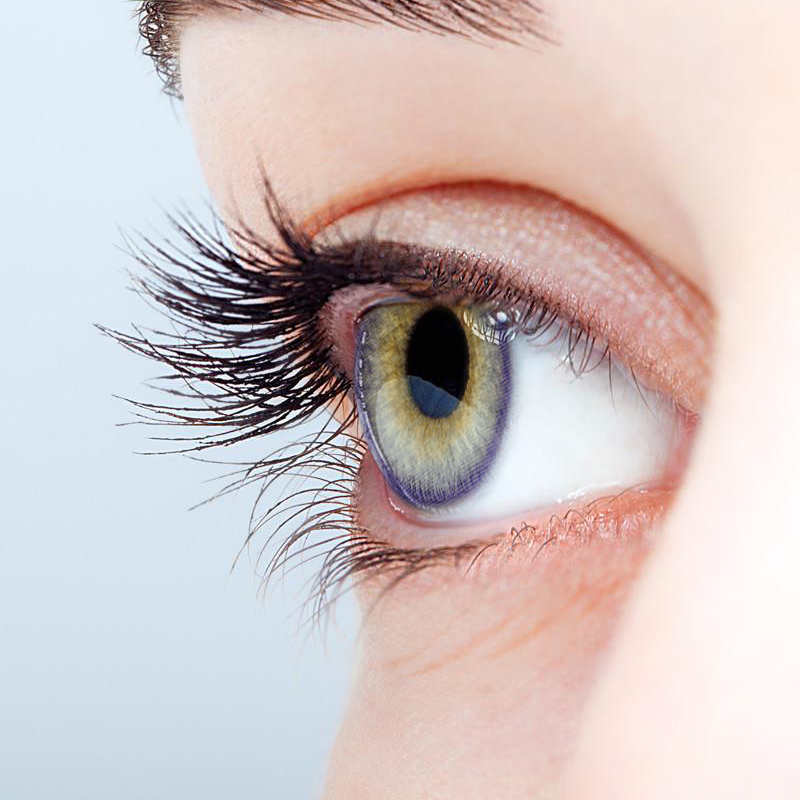 NEBULALENS Violet Flower Purple Yearly Prescription Colored Contact Lenses - NEBULALENS