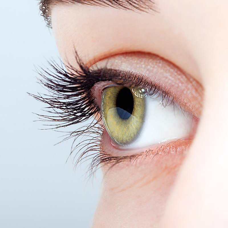 NEBULALENS Small Bulb Brown Yearly Prescription Colored Contact Lenses - NEBULALENS